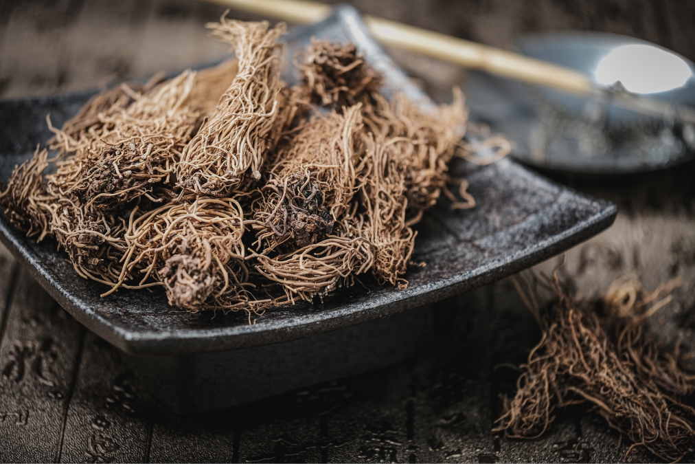 《衛生寶鑑 遺山牢牙散》組成藥材(二) ｜細辛｜讓口腔醒來的一線風
