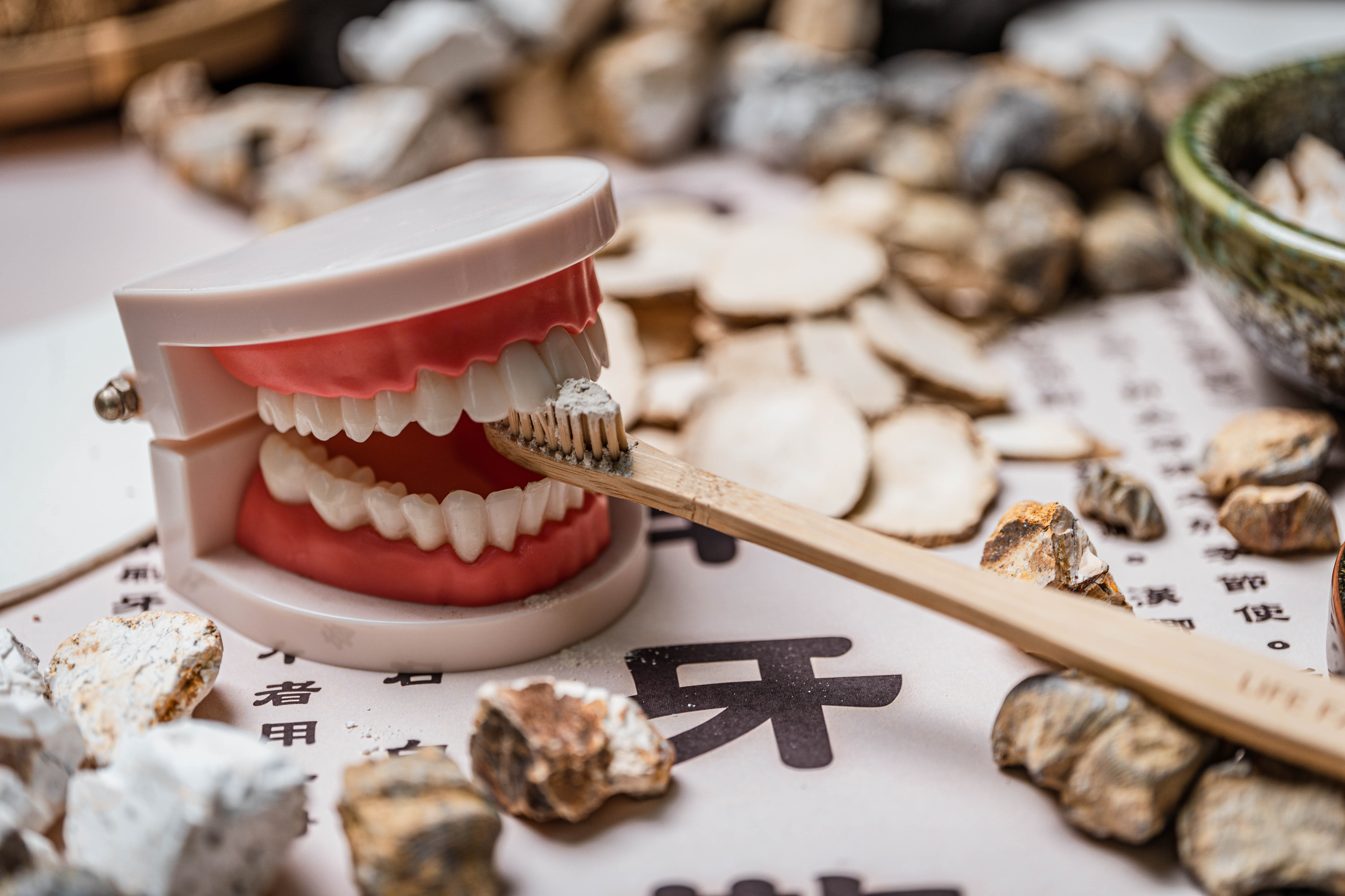 《遺山牢牙散》講義｜七味藥逐味解析，從齒齦到牙根的固齒邏輯