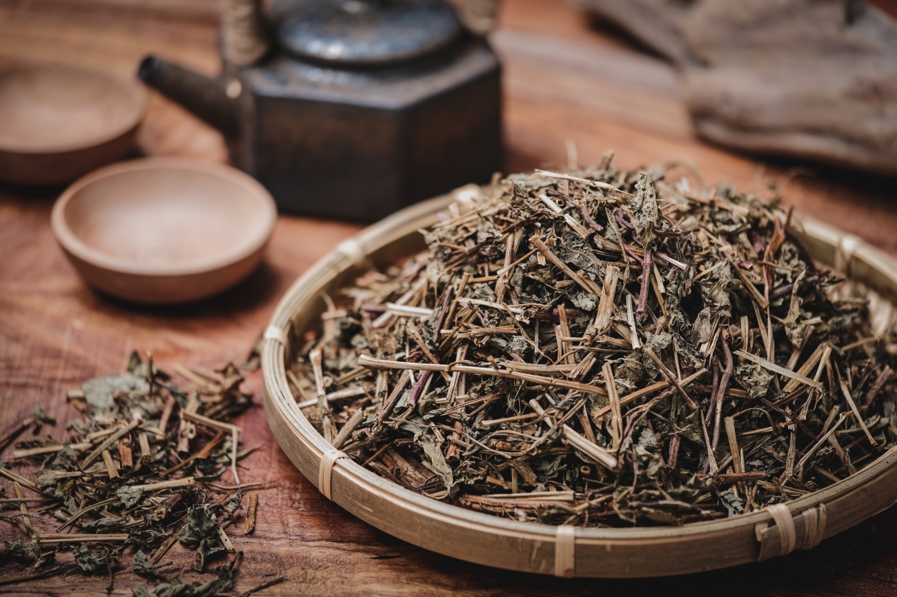 《陳修園 固齒神方》組成藥材(四) ｜南薄荷｜像牙面被晨風拂過