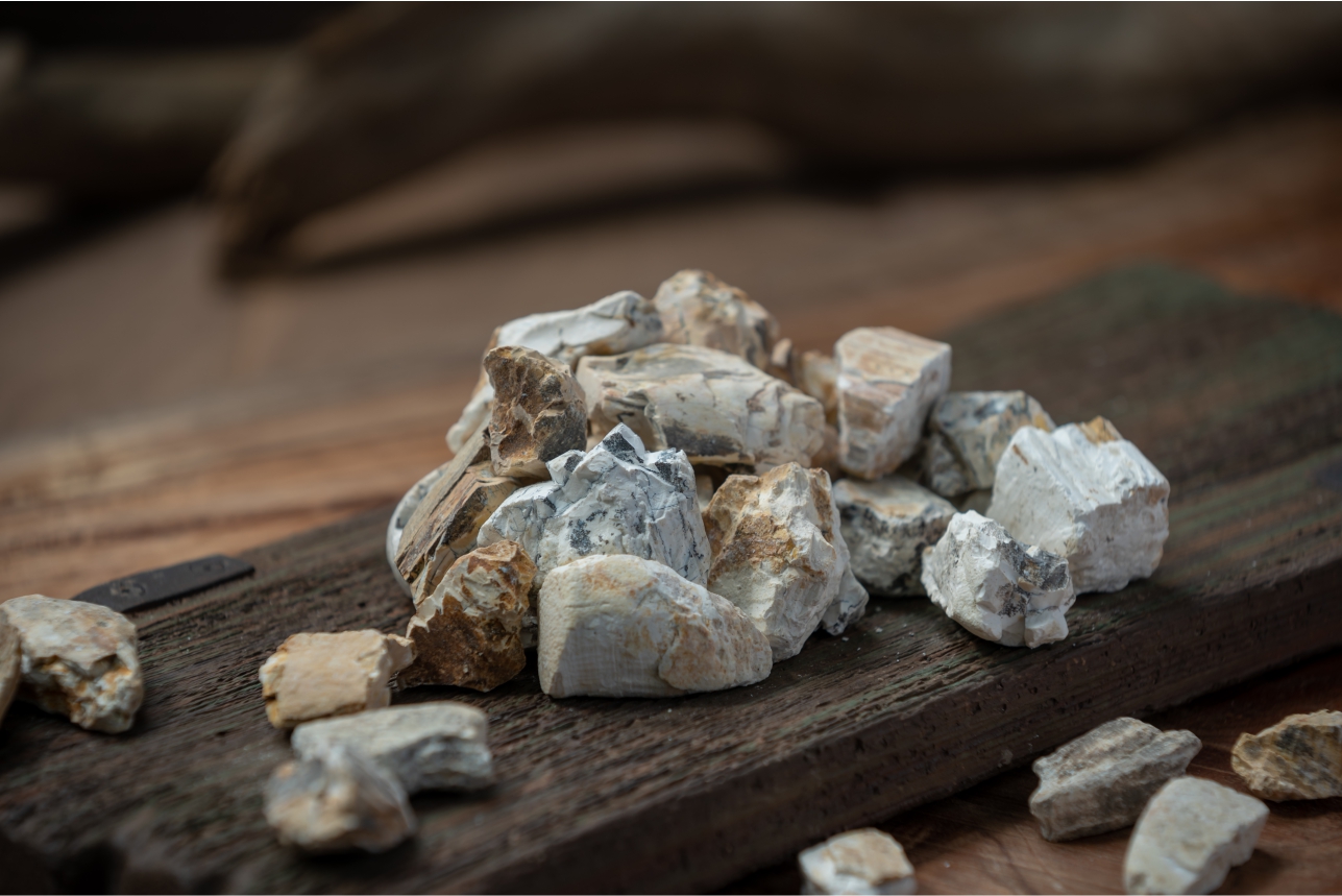 《衛生寶鑑 遺山牢牙散》組成藥材(四) ｜龍骨｜與牙齒同氣的遠古之骨