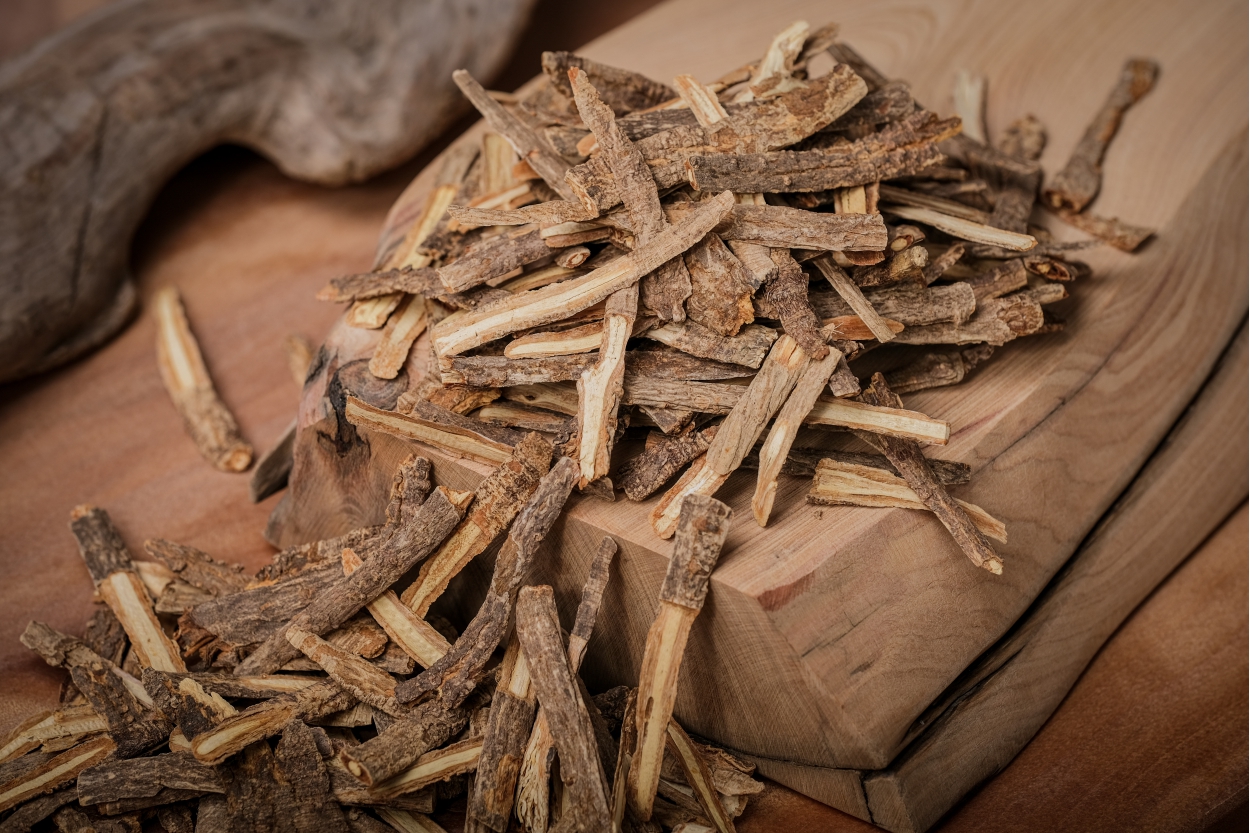 《陳修園 固齒神方》組成藥材(五) ｜防風｜把牙齦間的風送走